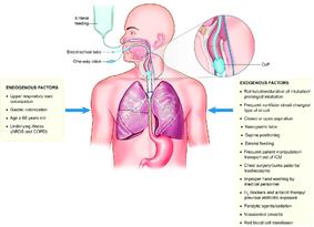 Vấn đê viêm phổi ( VAP) trên bệnh nhân thông khí nhân tạo – Các đường lây nhiễm chính