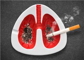 Các bệnh liên quan đến thuốc lá có thể cướp đi sinh mạng 1 tỷ người trong thế kỷ 21.